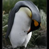 IMG 5755 IMG 5755