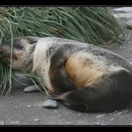 IMG 5815 IMG 5815