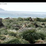 IMG 5826 IMG 5826