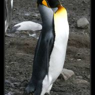IMG 5853 IMG 5853