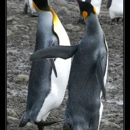 IMG 5857 IMG 5857