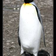 IMG 5868 IMG 5868