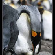 IMG 5877 IMG 5877