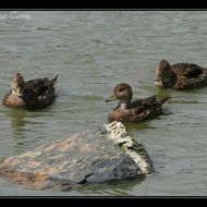 IMG 5925 IMG 5925