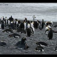 IMG 5993 IMG 5993