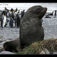IMG 6032 IMG 6032