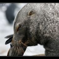 IMG 6033 IMG 6033