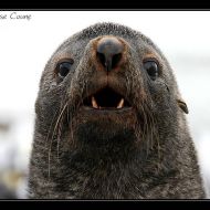 IMG 6035 IMG 6035