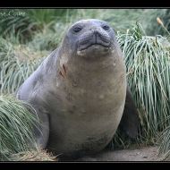 IMG 6039 IMG 6039