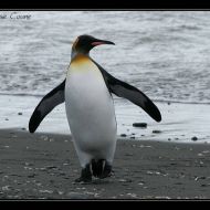 IMG 6042 IMG 6042