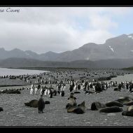 IMG 6052 IMG 6052