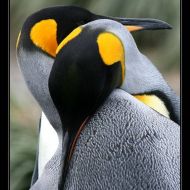 IMG 6073 IMG 6073