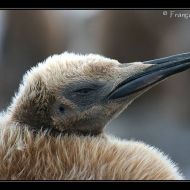 IMG 6114 IMG 6114