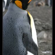 IMG 6122 IMG 6122