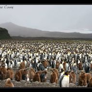 IMG 6129 IMG 6129