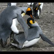 IMG 6139 IMG 6139