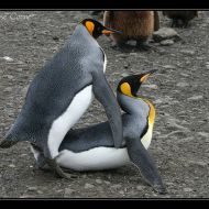 IMG 6143 IMG 6143