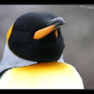 IMG 6145 IMG 6145