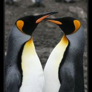 IMG 6146 IMG 6146