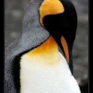 IMG 6148 IMG 6148