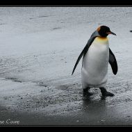 IMG 6206 IMG 6206