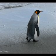IMG 6209 IMG 6209