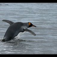 IMG 6212 IMG 6212