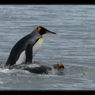 IMG 6216 IMG 6216
