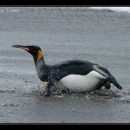 IMG 6227 IMG 6227