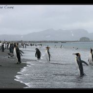 IMG 6231 IMG 6231