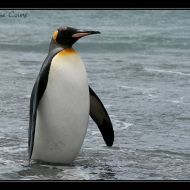 IMG 6249 IMG 6249