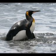 IMG 6251 IMG 6251
