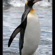 IMG 6256 IMG 6256