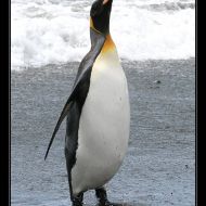 IMG 6258 IMG 6258