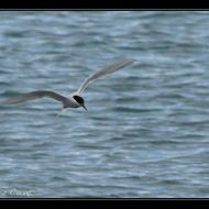 IMG 6314 IMG 6314
