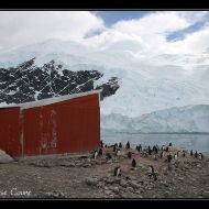 IMG 9463 IMG 9463
