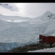 IMG 9471 IMG 9471