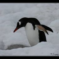 IMG 9476 IMG 9476