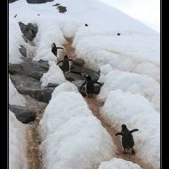 IMG 9481 IMG 9481