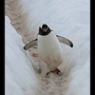 IMG 9483 IMG 9483