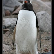 IMG 9491 IMG 9491