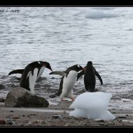 IMG 9493 IMG 9493