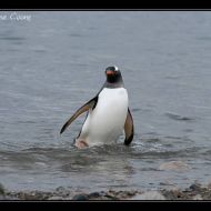 IMG 9502 IMG 9502