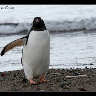 IMG 9503 IMG 9503