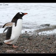 IMG 9504 IMG 9504