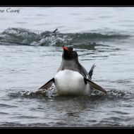IMG 9509 IMG 9509