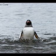 IMG 9512 IMG 9512