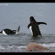 IMG 9534 IMG 9534