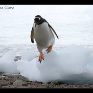 IMG 9540 IMG 9540