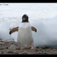 IMG 9541 IMG 9541
